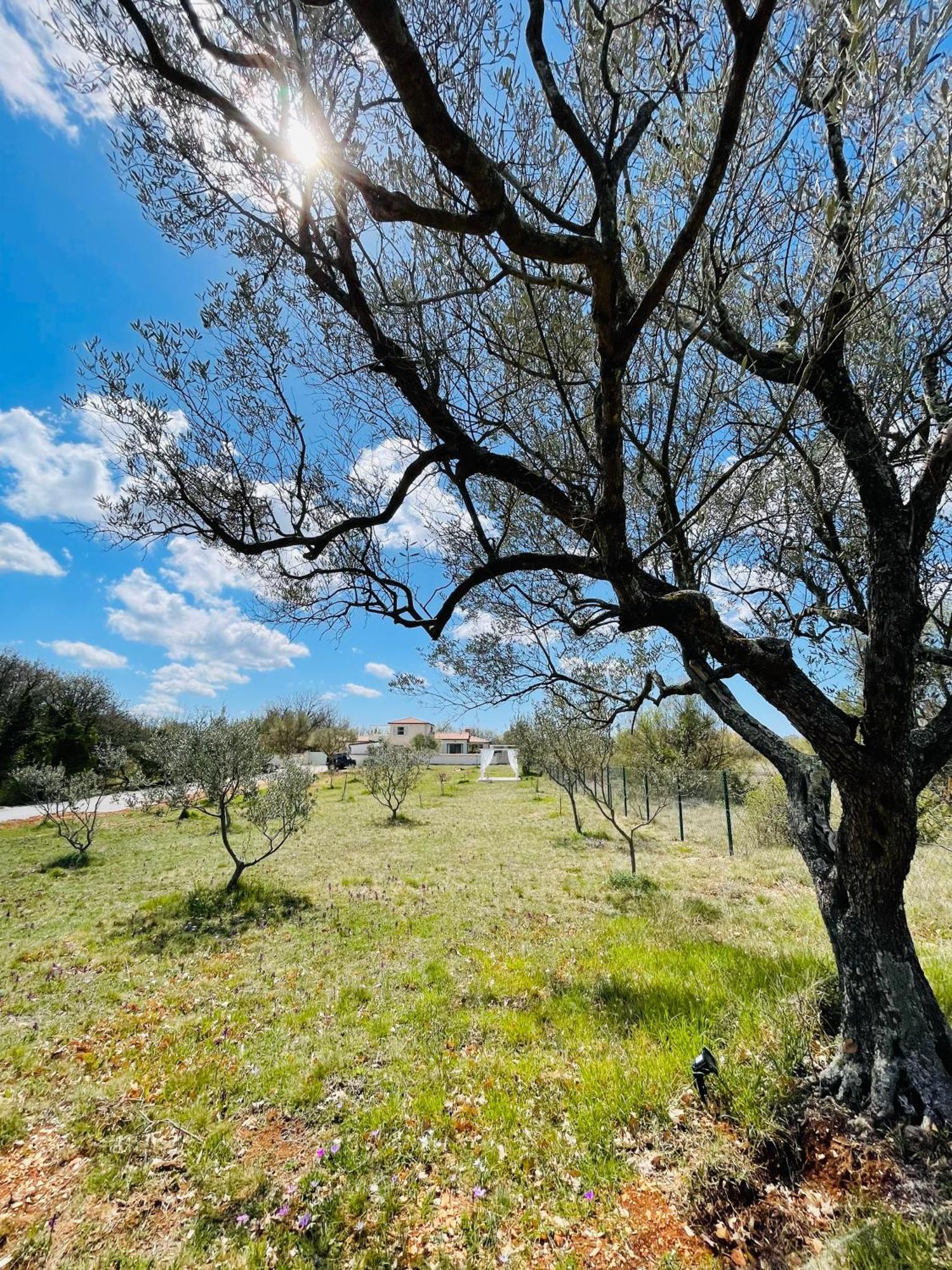 Luxury Villa In Istria - 9,000 Sqm Private Estate With Pool & Sauna, 15 Min To Sea, Near Fazana, 3 Bedrooms Jursici Екстер'єр фото