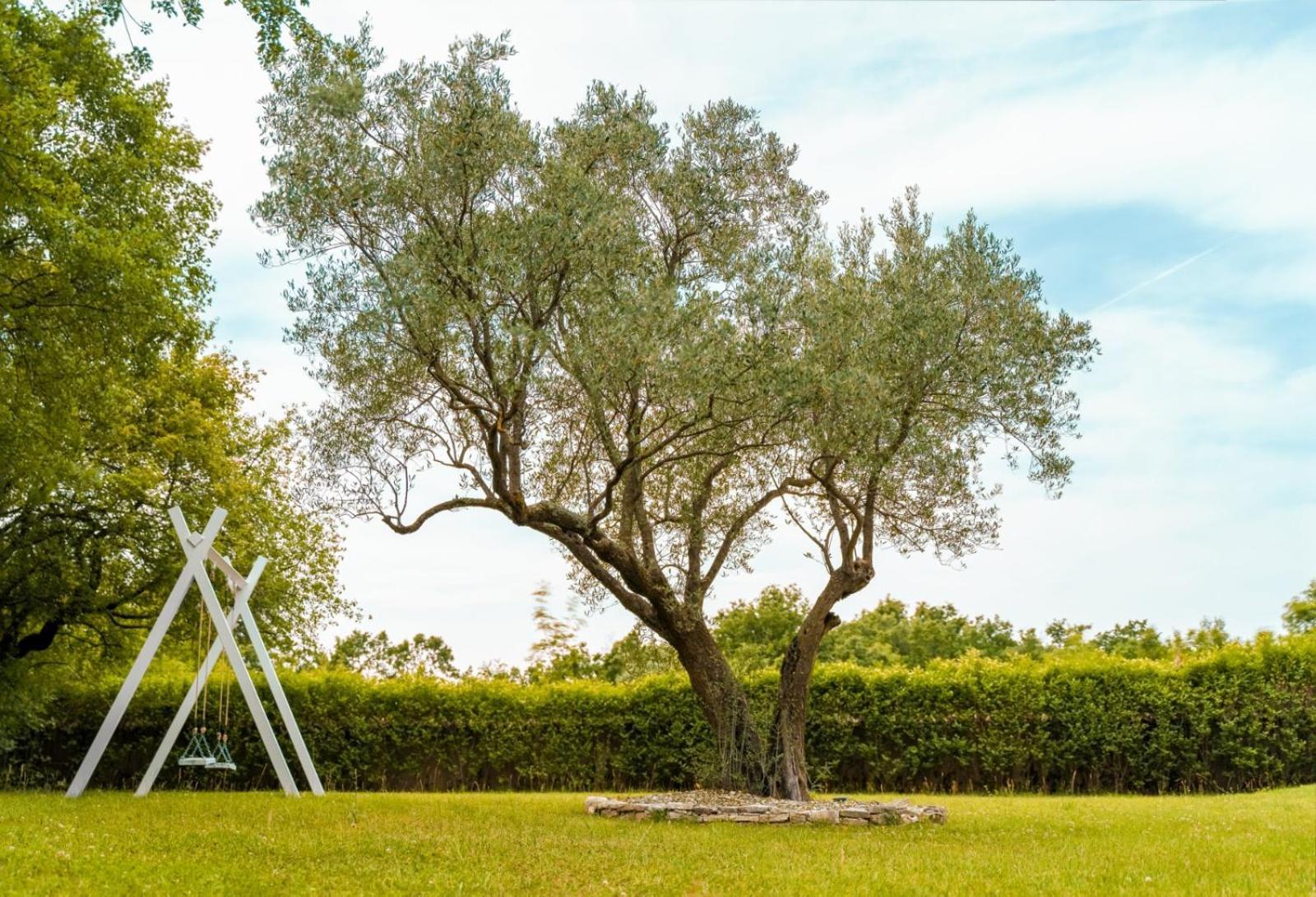 Luxury Villa In Istria - 9,000 Sqm Private Estate With Pool & Sauna, 15 Min To Sea, Near Fazana, 3 Bedrooms Jursici Екстер'єр фото